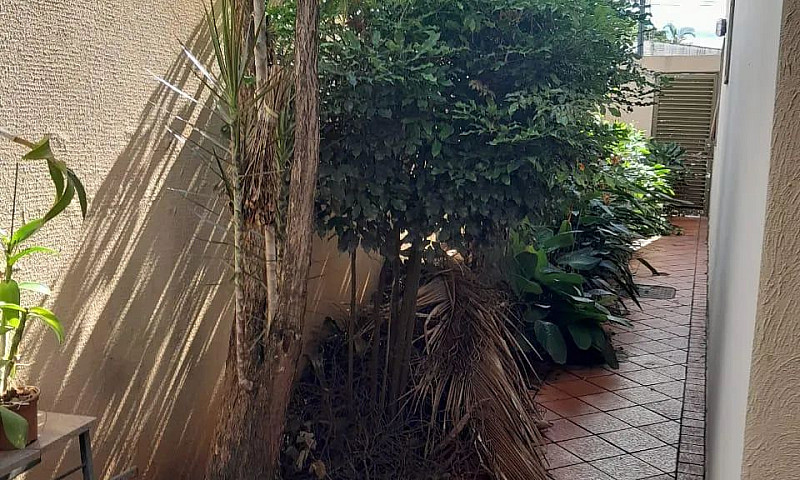 Sobrado - Jardim Amé...