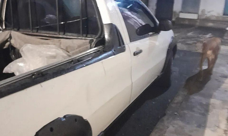 Fiat Strada Working ...