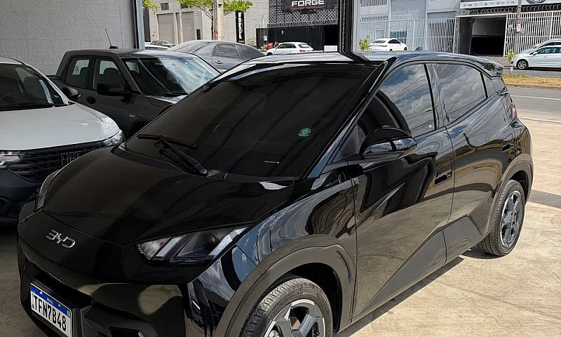 Byd Dolphin Mini (El...
