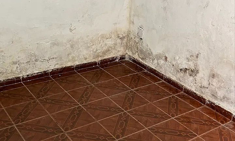 Alugo Barraco Na Cei...