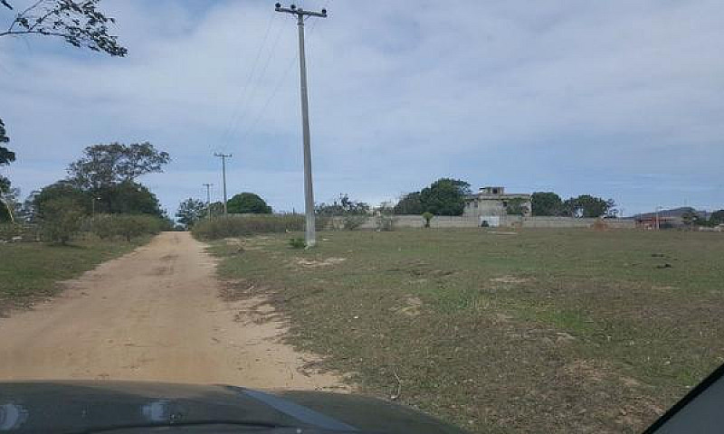 Localizados Na Fazen...