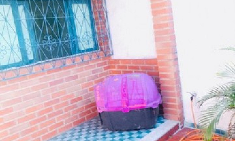 Casa 3 Quartos Em Pr...