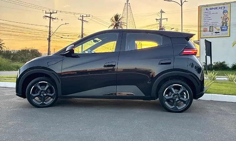 Byd Dolphin Mini (El...