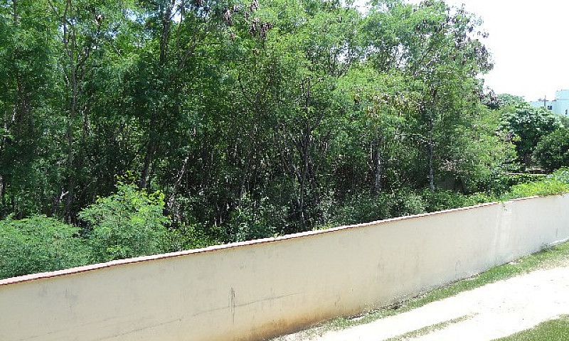 Apartamento 02 Quart...