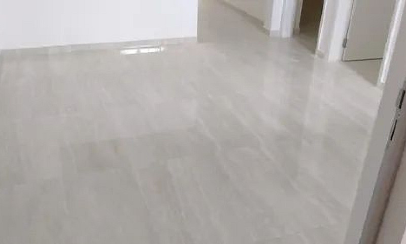 Wellington Assunção ...