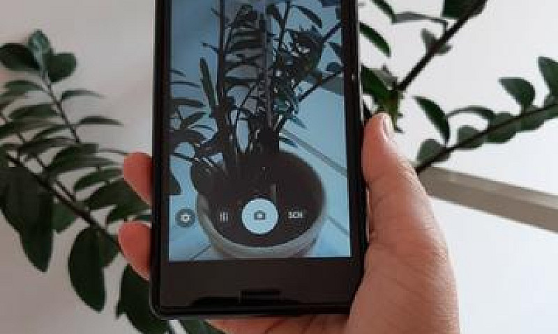 Celular 16Gb (Lorena...