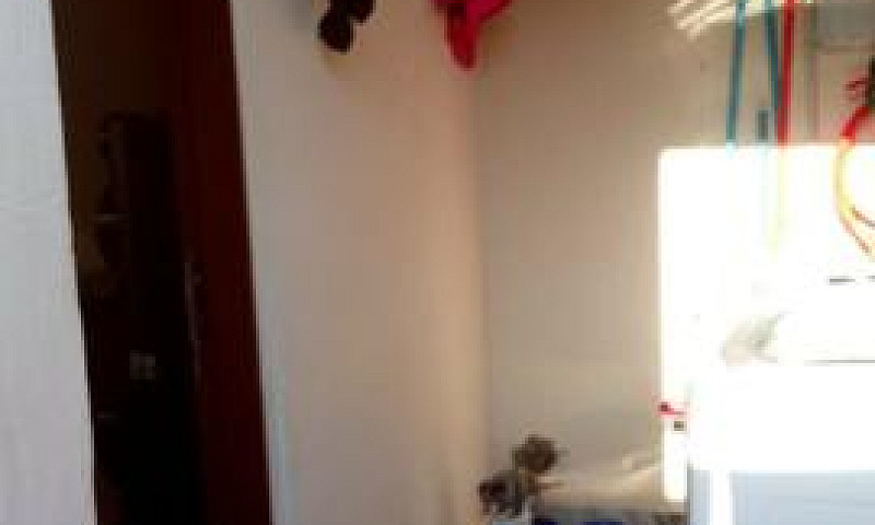 Aluguel De Casa Na V...