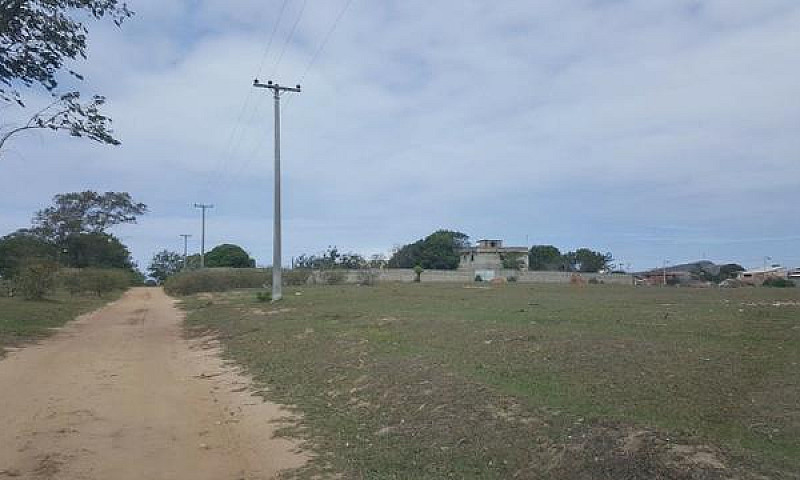 Localizados Na Fazen...