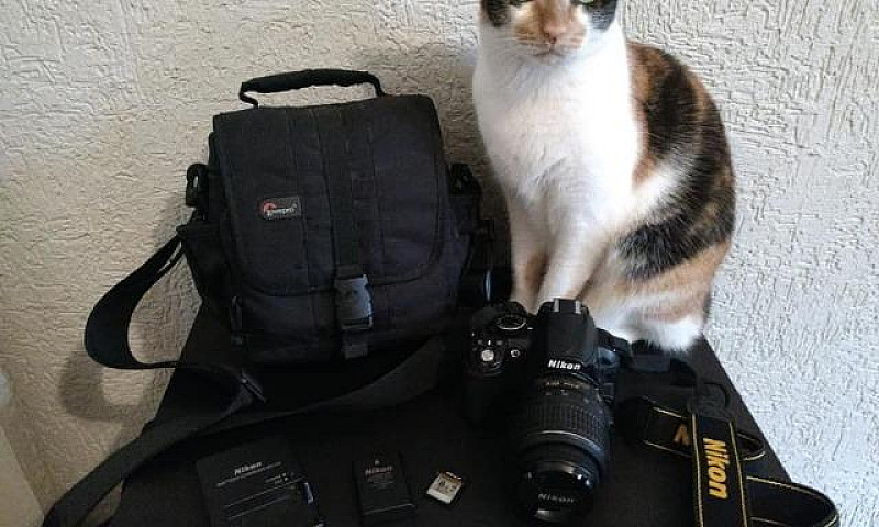 Nikon D3100 + Lente ...