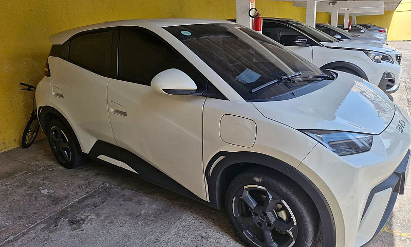 Byd Dolphin Mini (El...