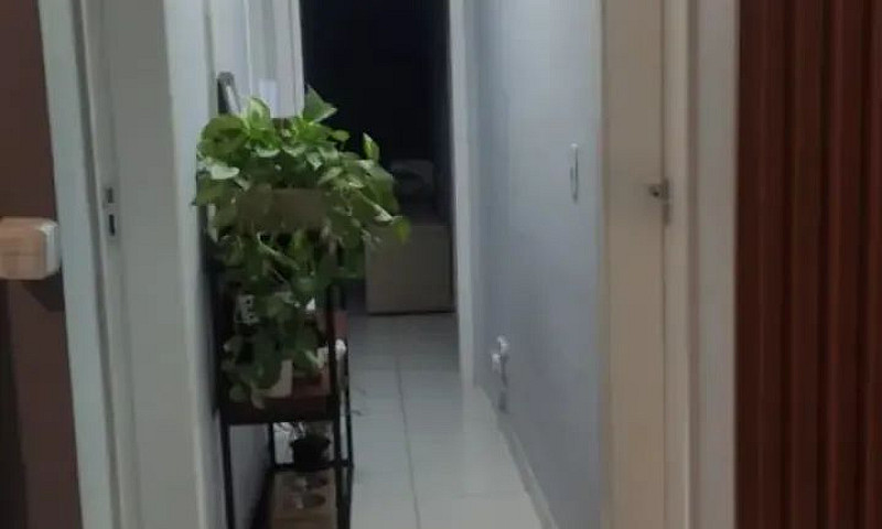 Apartamento Com 3 Do...
