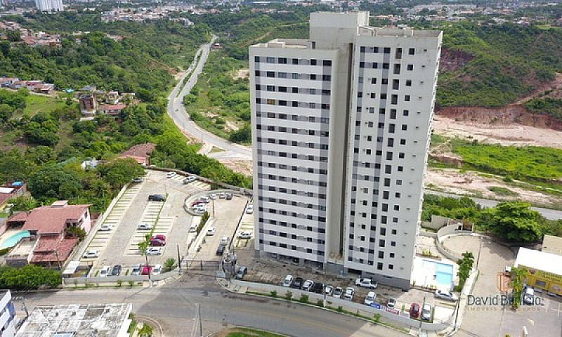Apartamento Com 3 Do...