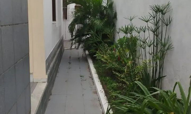 Alugo Casa Rua Públi...
