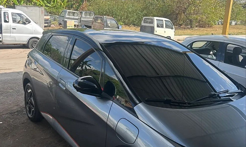 Byd Dolphin Ev (Elét...