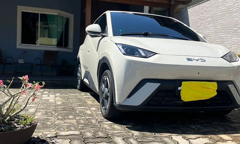 Byd Dolphin Mini (El...