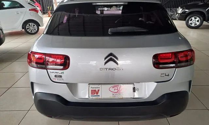 C4 Cactus Shine ...