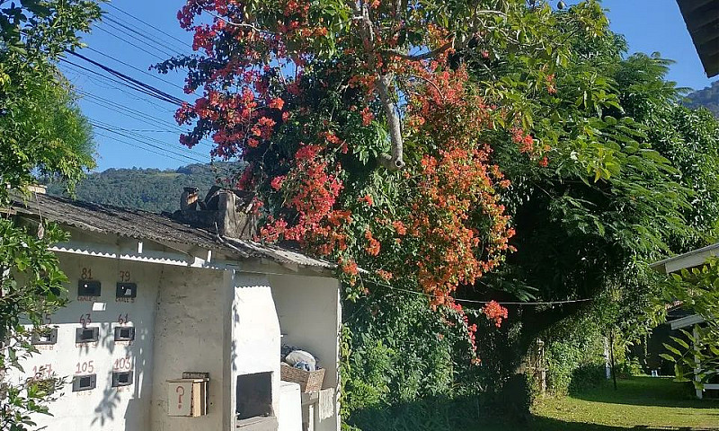 Chalé De 2/4, Área V...