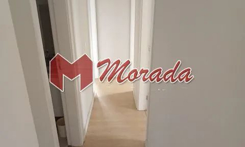 Lindo Apartamento Ve...