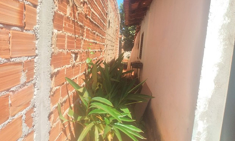 Casa Sozinha No Lote...
