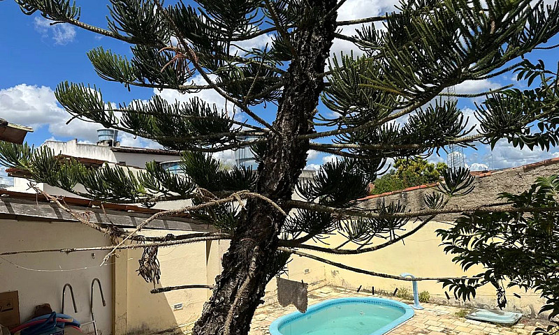 Oportunidade Em Grav...