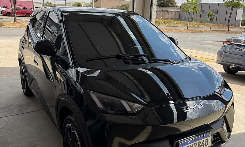 Byd Dolphin Mini (El...