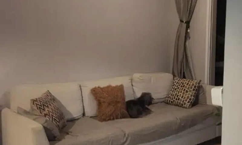 Apartamento Com 3 Do...