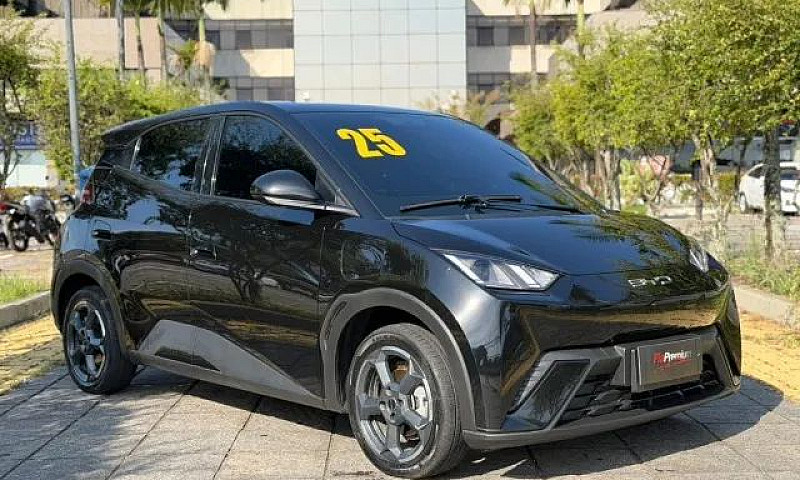 Byd Dolphin Mini (El...