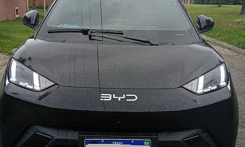Byd Dolphin Mini (El...