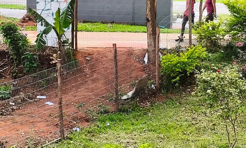 Alugo Apto No Parano...