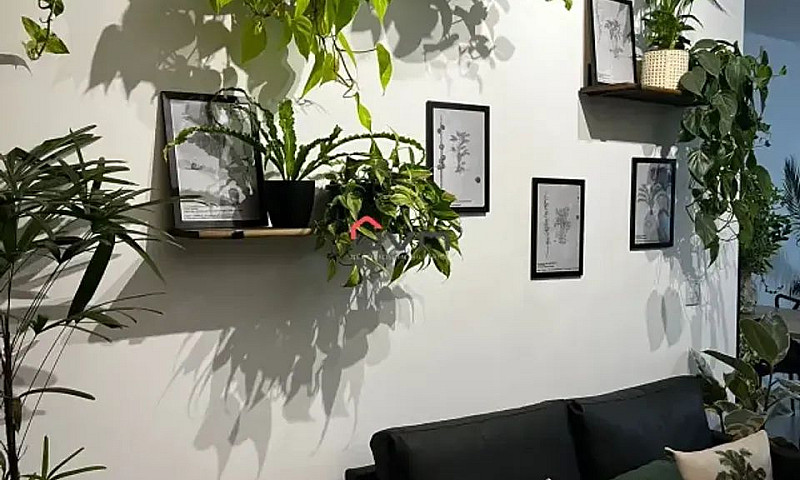 Apartamento À Alugue...