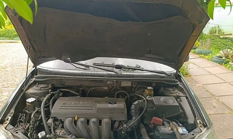 Toyota Corolla Field...