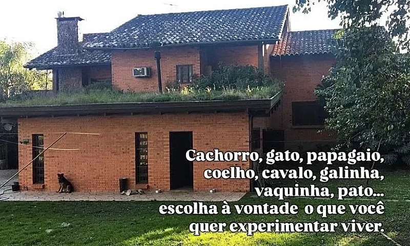 Casa Para Aluguel Po...