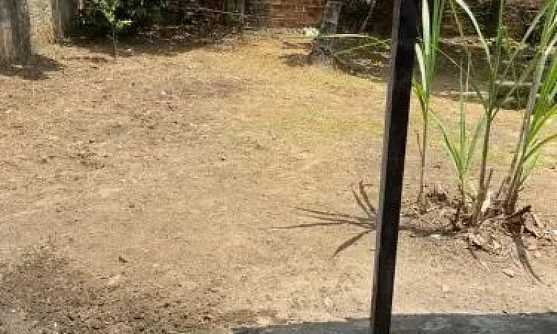 Casa Em Benevides Pr...
