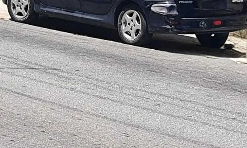 Peugeot 206 Sw Felin...