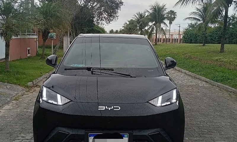 Byd Dolphin Mini (El...