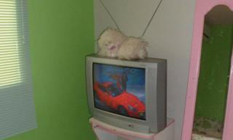Apartamento Mobiliad...