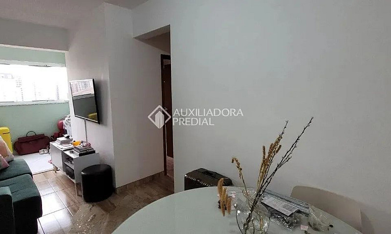 Apartamento - Campes...