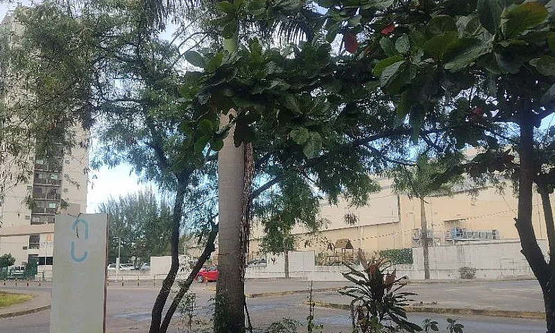 Ótima Oportunidade C...