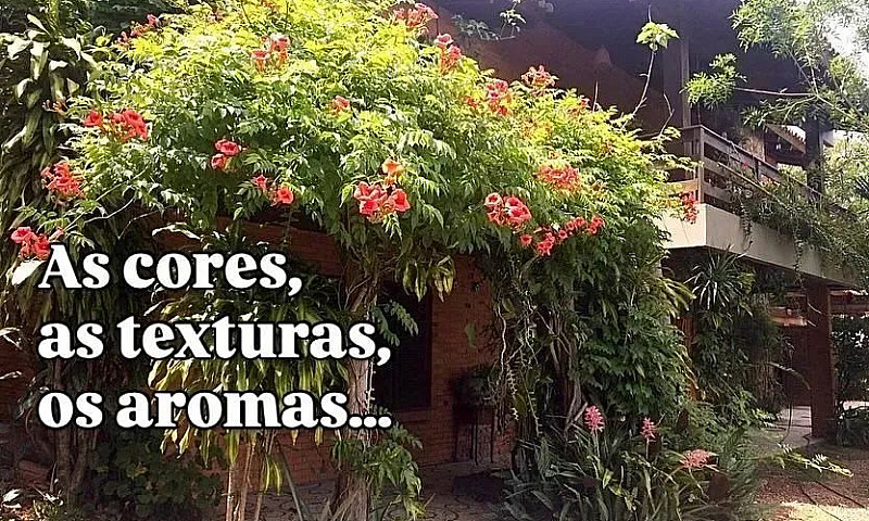 Casa Para Aluguel Po...