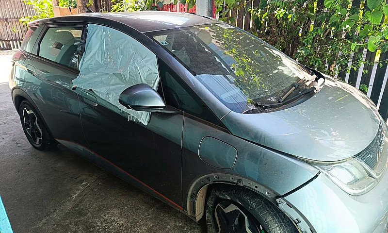 Byd Dolphin Ev (Elét...