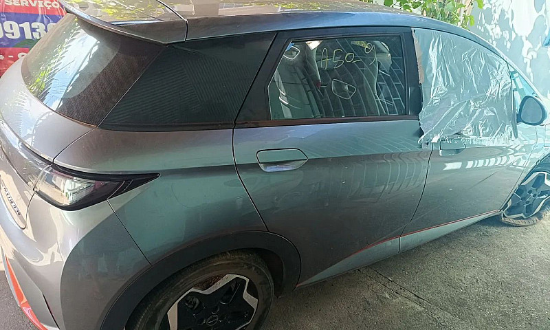 Byd Dolphin Ev (Elét...