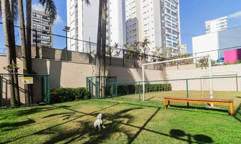 Apartamento Para Alu...