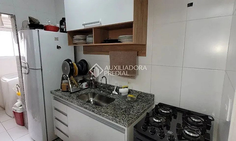 Apartamento - Campes...