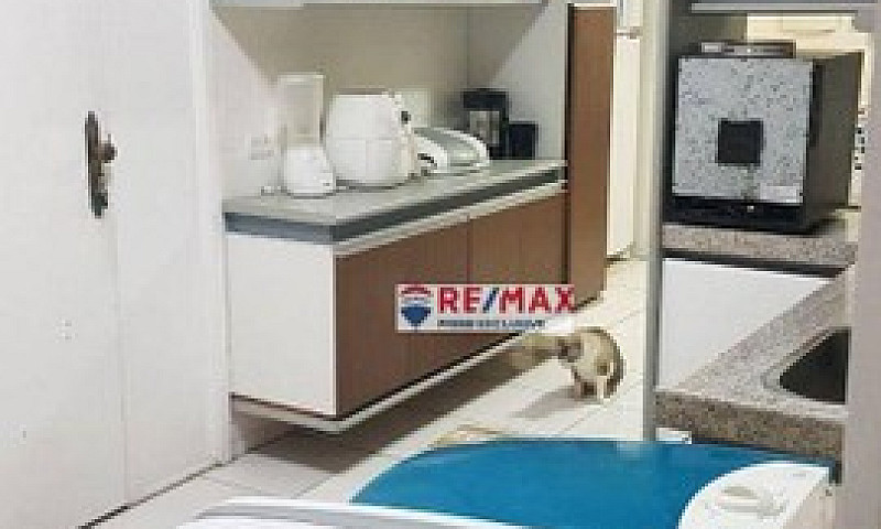 Apartamento Com 4 Qu...