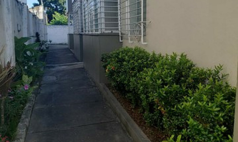 Apartamento Para Alu...