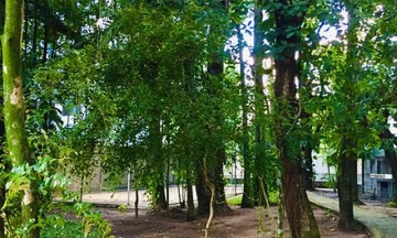 Recife - Apartamento...