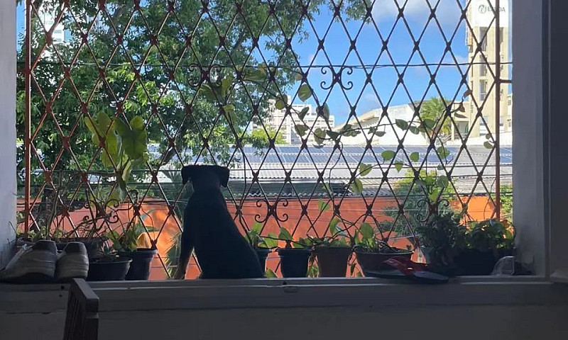     Casa Ventilada, ...