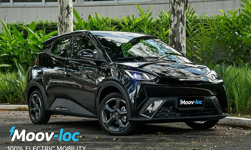 Byd Dolphin Mini (El...