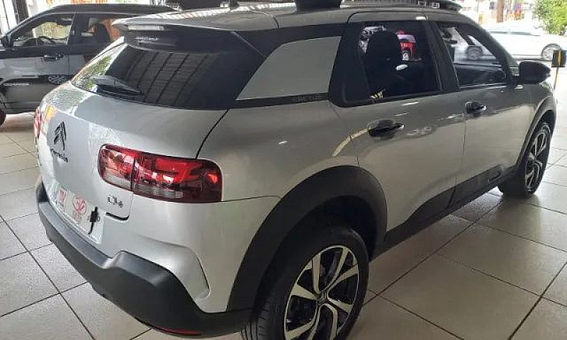 C4 Cactus Shine ...