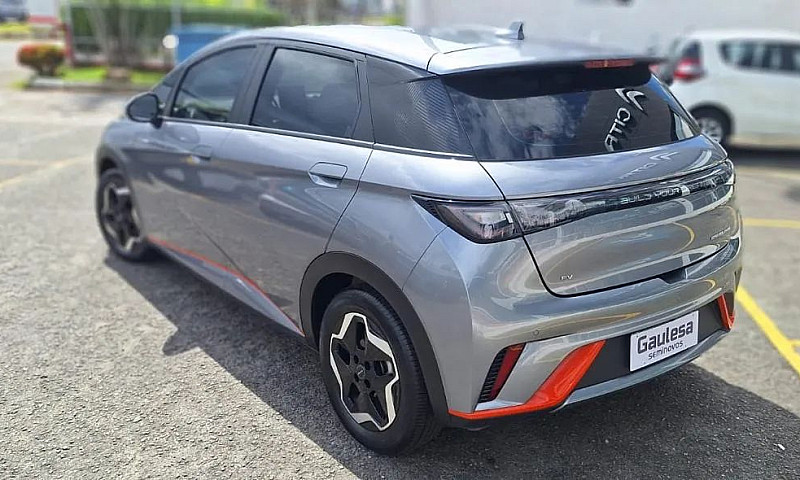 Byd Dolphin Ev (Elét...